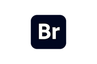 Adobe Bridge 2024 v14.0.3 Br数字资产管理软件 Mac激活版下载