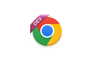 Google Chrome Dev v128.0.6555.2 谷歌浏览器 中文开发版 Mac激活版下载