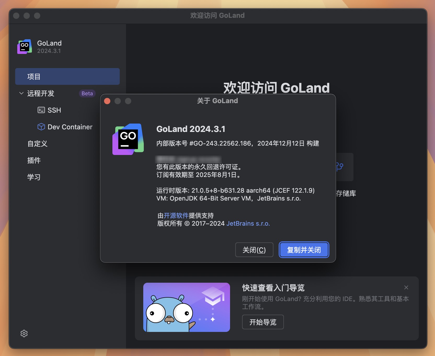 GoLand for Mac v2024.3.1 GO语言集成开发工具环境 免激活下载-1